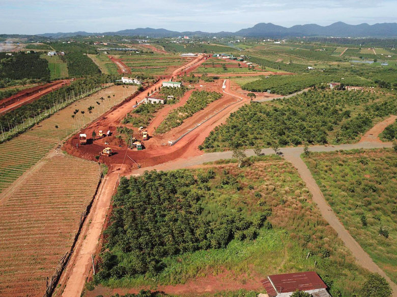 “Dự án 36 ha” trên địa bàn Thôn 14, xã Đam Bri. Ảnh chụp tháng 11/2020