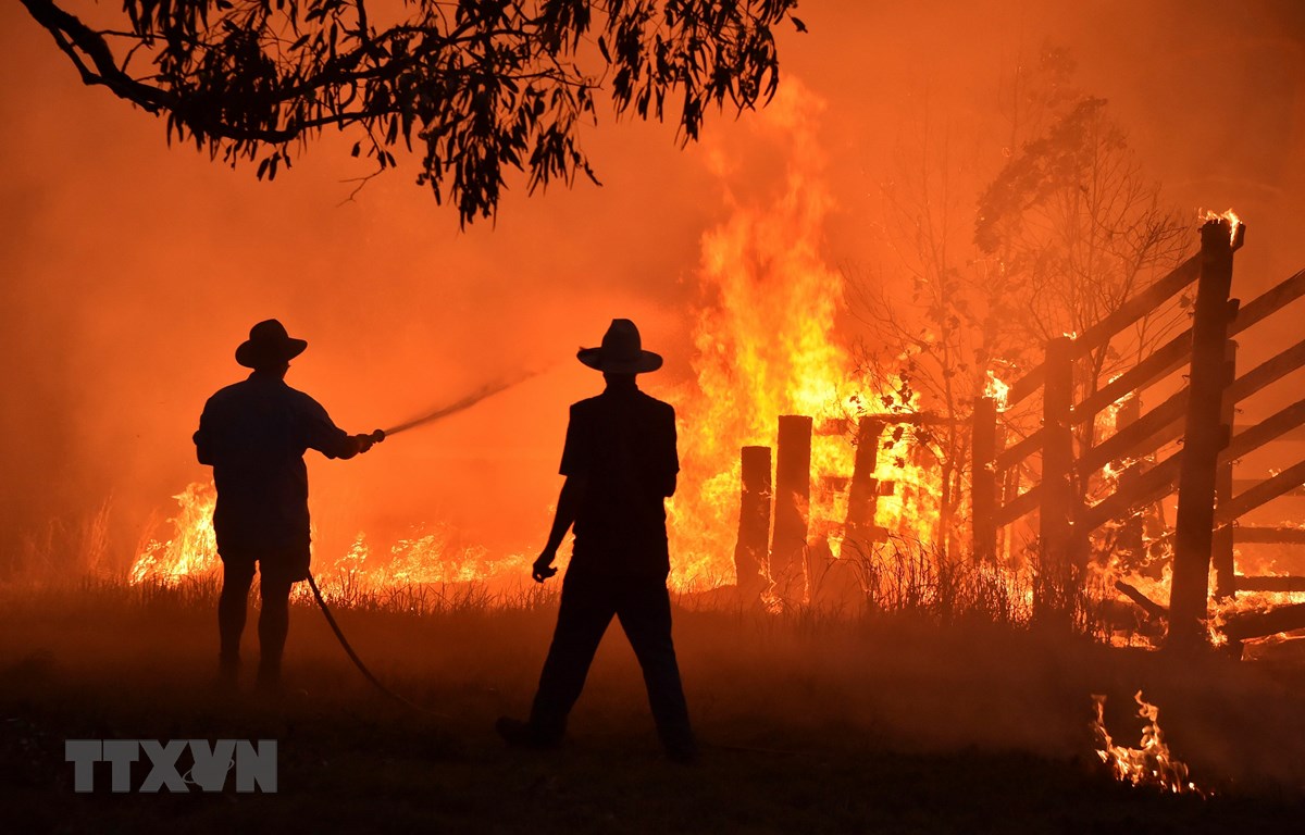 Lực lượng cứu hỏa nỗ lực dập lửa cháy rừng tại Hillsville, gần Taree, New South Wales, Australia, ngày 12/11/2019