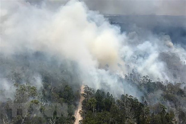 Khói bốc lên từ đám cháy rừng trên đảo Fraser thuộc bang Queensland, Australia ngày 29/11/2020
