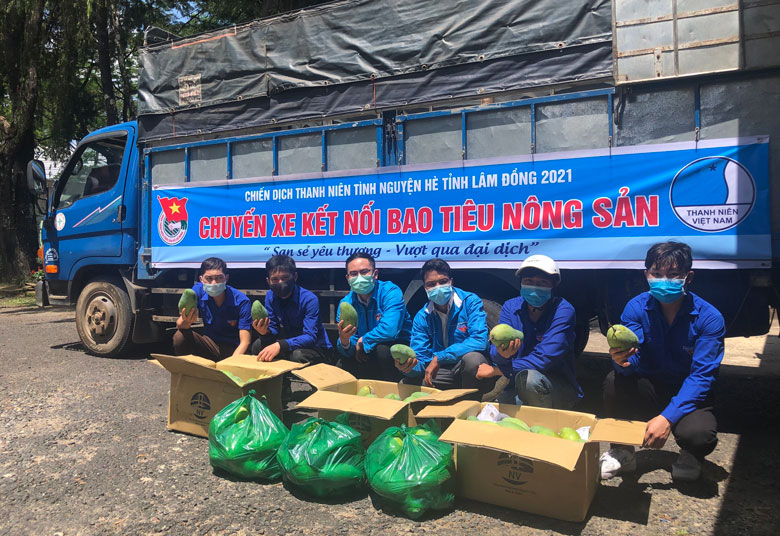 Hỗ trợ nông dân huyện Lâm Hà tiêu thụ 20 tấn xoài