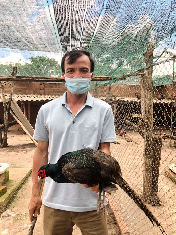 Cần Thơ : Người nuôi được cả 3 loài trĩ xanh, đỏ, trắng - Tạp chí Doanh  nghiệp Việt Nam
