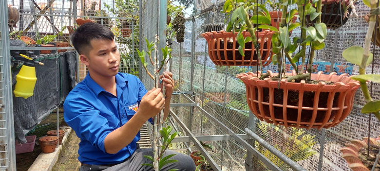 Nguyễn Văn Hoàng tỉ mẩn bên công việc trồng và thuần dưỡng lan rừng