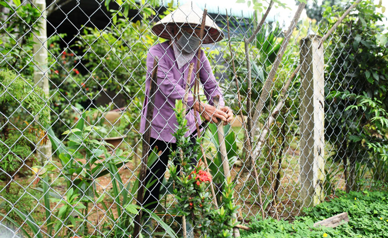 Những ngày thực hiện giãn cách xã hội, bà Nguyễn Thị Thức (74 tuổi) ra vườn, làm việc vặt cho thư giãn tay chân