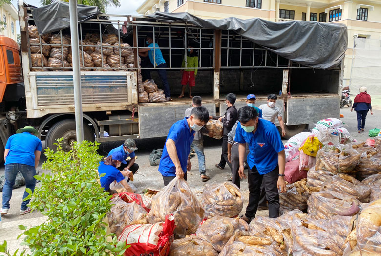 Nông sản được người dân Lâm Đồng ủng hộ cho Chương trình Thực phẩm miễn phí cùng cả nước chống dịch