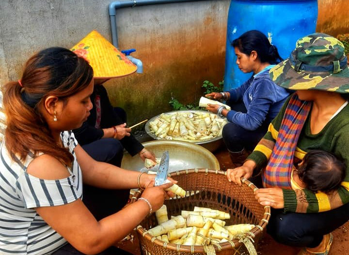 Bảo Lâm: Góp ''rau rừng'' tiếp sức cho người dân TP Hồ Chí Minh