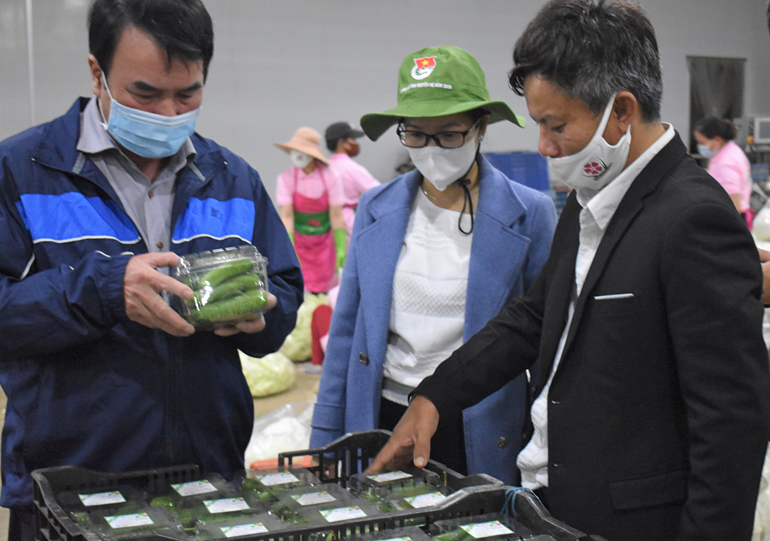 Phó Chủ tịch UBND tỉnh Lâm Đồng Phạm S (thứ nhất bên trái) tham quan Hợp tác xã Dịch vụ nông nghiệp tổng hợp Anh Đào, một đơn vị đóng góp tích cực cho những chuyến xe nông sản vận chuyển hỗ trợ đến các vùng dịch Covid- 19 đợt này