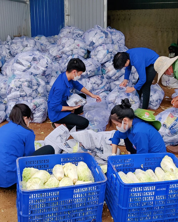 ĐVTN huyện Đơn Dương chuẩn bị nông sản để gửi về TP Hồ Chí Minh qua những chuyến xe yêu thương
