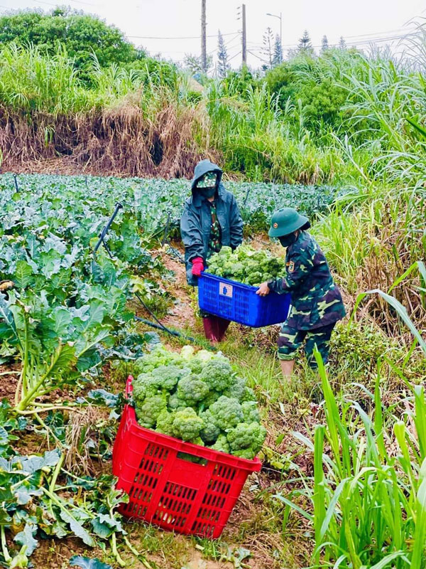 Học viện Lục quân hỗ trợ 33 tấn nông sản về vùng dịch