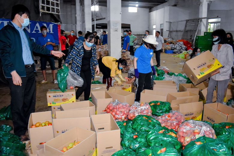 Khoảng 15 loại rau, củ, quả Lâm Đồng hỗ trợ vùng dịch Covid-19 tỉnh Đồng Nai