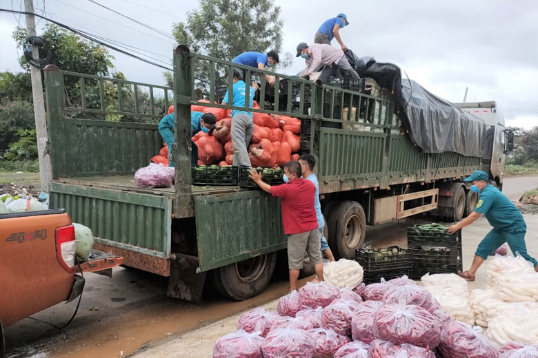 30 tấn rau, củ, quả chất đầy 1 xe tải và 1 xe container đang trên đường lăn bánh về TP Hồ Chí Minh và tỉnh Đồng Nai