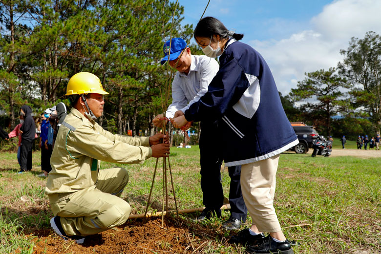 Cán bộ, công nhân các cơ quan tỉnh tham gia trồng cây gây rừng