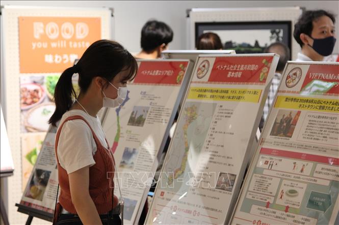 Người dân thành phố Kokubunji xem thông tin giới thiệu về Việt Nam
