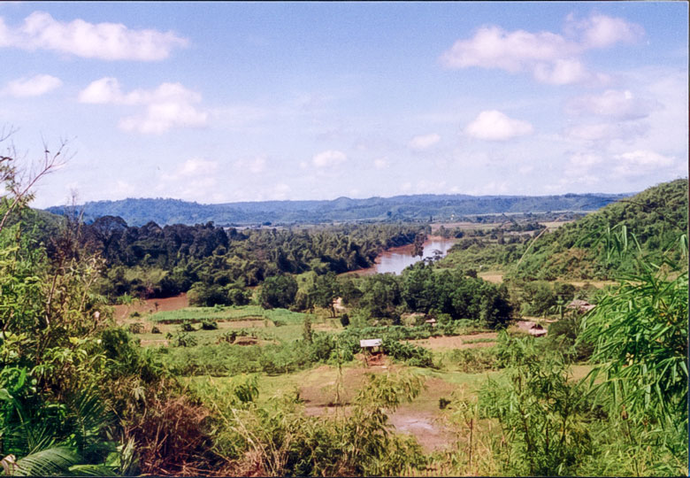 Quang cảnh phía Bắc Di tích Cát tiên sông Đồng Nai nhin từ Gò IA Năm 1996. Ảnh tư liệu Bảo tàng Lâm Đồng
