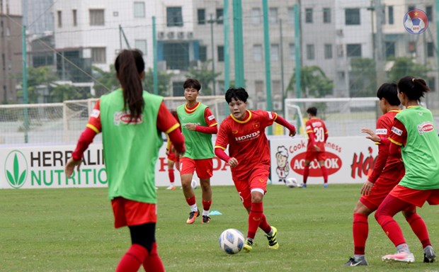 Đội tuyển nữ Việt Nam tập luyện. 