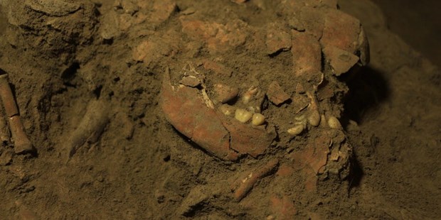Phát hiện được xương hóa thạch của thời kỳ Toalean