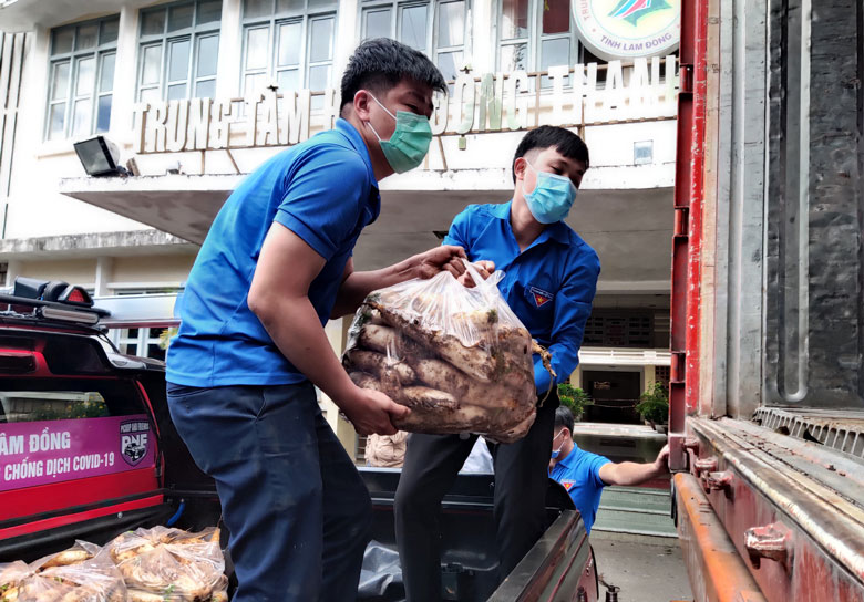 Thông qua các chuyến xe yêu thương, tuổi trẻ Lâm Đồng hỗ trợ nông sản cho các “Túi quà an sinh” gởi đến người dân vùng dịch
