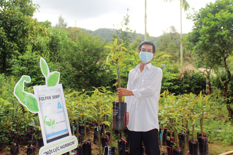 Nhờ việc đưa giống sầu riêng mới thay đổi giống sầu riêng hạt, nhiều nông dân ở xã Phước Lộc có thu nhập hàng tỷ đồng mỗi năm