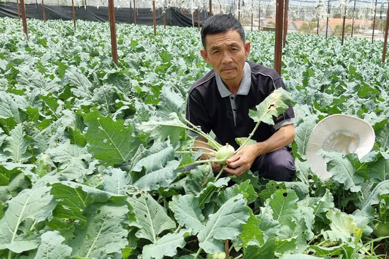 Nhà nông xuất sắc toàn quốc năm 2021, anh Võ Tiến Huy trong khu vườn rau VietGAP tại xã Hiệp An, huyện Đức Trọng