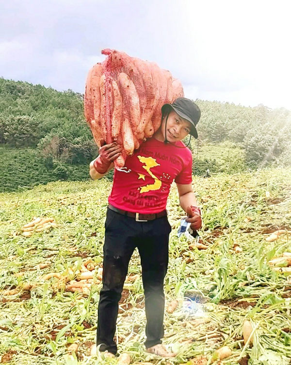 Anh Lưu Gia Khanh tham gia cắt rau cùng đội tình nguyện Hội Chữ thập đỏ xã Ninh Gia