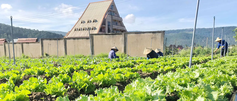 Năm 2021, toàn tỉnh Lâm Đồng phấn đấu đạt 62.800 ha diện tích nông nghiệp ứng dụng công nghệ cao. Ảnh: Văn Việt