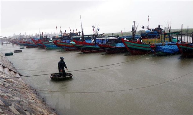Tàu, thuyền vào tránh trú bão âu thuyền Cửa Sót huyện Lộc Hà, Hà Tĩnh