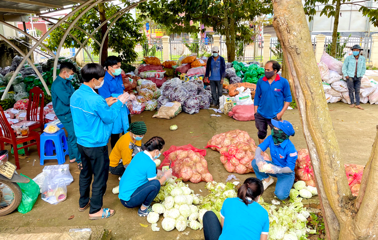 Tập kết, đóng gói nông sản để gửi tặng người dân TP Hồ Chí Minh