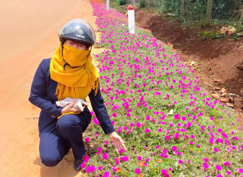 Tuyến đường hoa do hội viên phụ nữ Lâm Hà thực hiện trên địa bàn