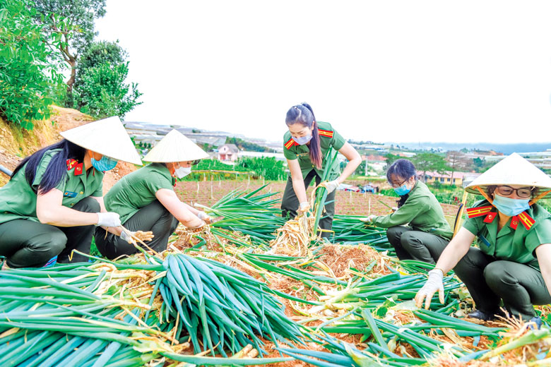 Phụ nữ Công an tỉnh thu hoạch nông sản gửi người dân vùng dịch. Ảnh: Trần Lê Nhật Minh