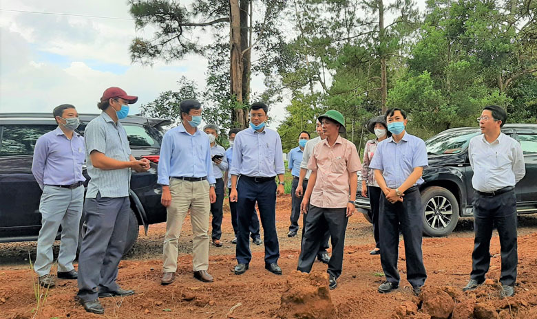 Chủ tịch UBND tỉnh Lâm Đồng Trần Văn Hiệp và đoàn công tác kiển tra thực tế tại Dự án rừng cộng đồng (Thôn 3, xã Lộc Phú, huyện Bảo Lâm)