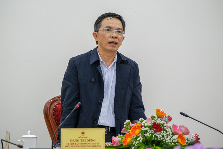 Đồng chí Đặng Trí Dũng - Phó Chủ tịch UBND tỉnh phát biểu kết luận cuộc họp