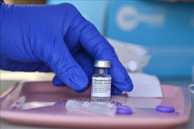 Vaccine của hãng Pfizer/BioNTech được sử dụng tại một điểm tiêm chủng ở Arleta, khu vực lân cận Los Angeles, bang California, Mỹ