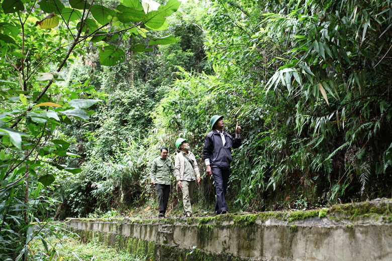 Cán bộ Trạm QLBVR Đưng K’Nớ thực hiện tuần tra bảo vệ rừng tại Tiểu khu 39