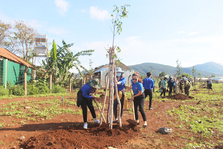 Đoàn viên, thanh niên tham gia trồng cây tại lễ phát động trồng cây xanh của huyện