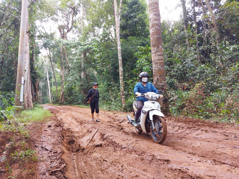 Để đến được điểm trường, các thầy cô phải băng qua 10 km đường rừng Vườn Quốc gia Cát Tiên; trong đó, có hơn 5 km đường đất, mùa mưa đường trơn như đổ mỡ