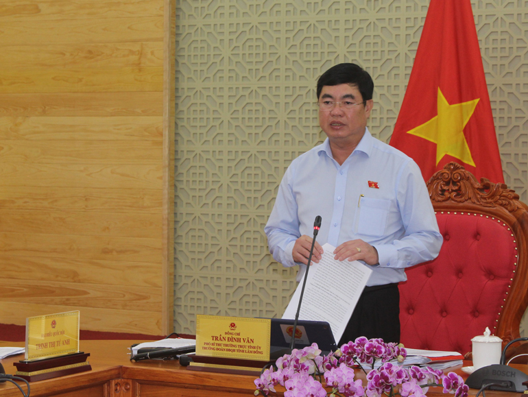 Đoàn ĐBQH Lâm Đồng thảo luận, góp ý Luật Cảnh sát cơ động và Luật Sở hữu trí tuệ