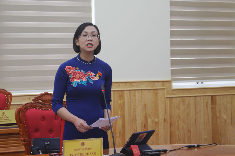 ĐBQH Trịnh Thị Tú Anh tham gia góp ý về luật Bảo hiểm Y tế