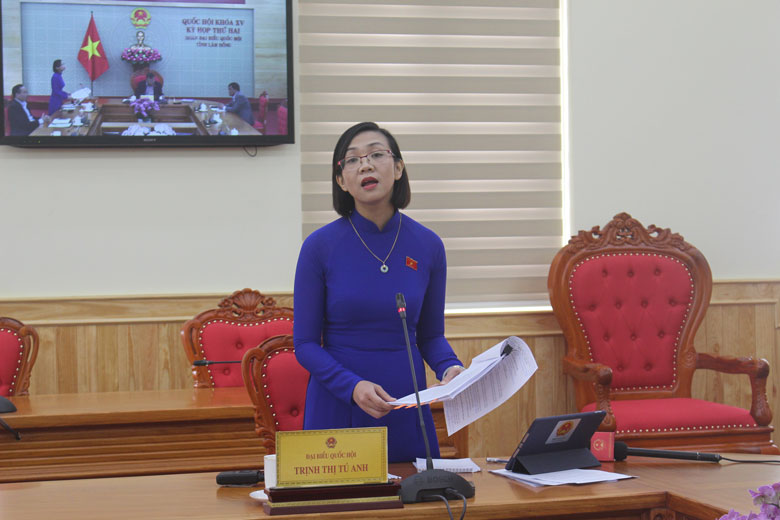 ĐBQH Trịnh Thị Tú Anh tham gia góp ý thảo luận dự án Luật Kinh doanh bảo hiểm (sửa đổi) 