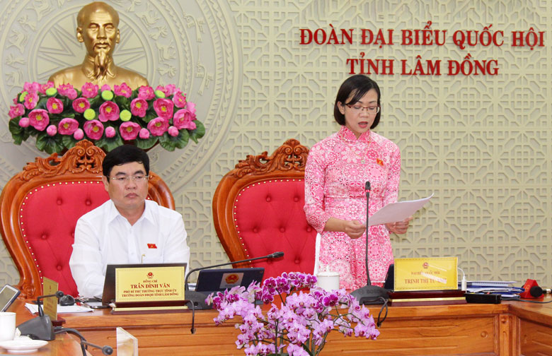 ĐBQH Trịnh Thị Tú Anh phát biểu góp ý về dự án Luật sửa đổi, bổ sung một số điều của Luật Thống kê