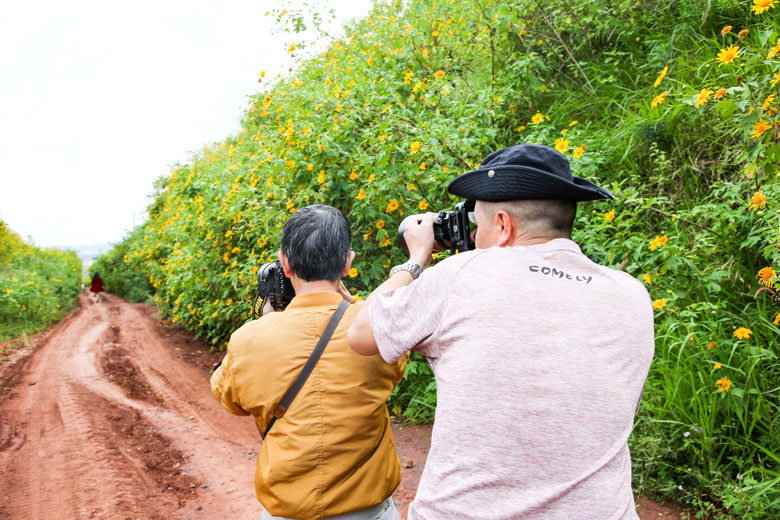 Những con đường còn nguyên màu đất đỏ chạy giữa các vùng trồng rau, hoa thương phẩm ở huyện nông thôn mới Đơn Dương luôn là nguồn cảm hứng vô tận cho các nhiếp ảnh gia, đặc biệt là mỗi độ hoa vàng nở