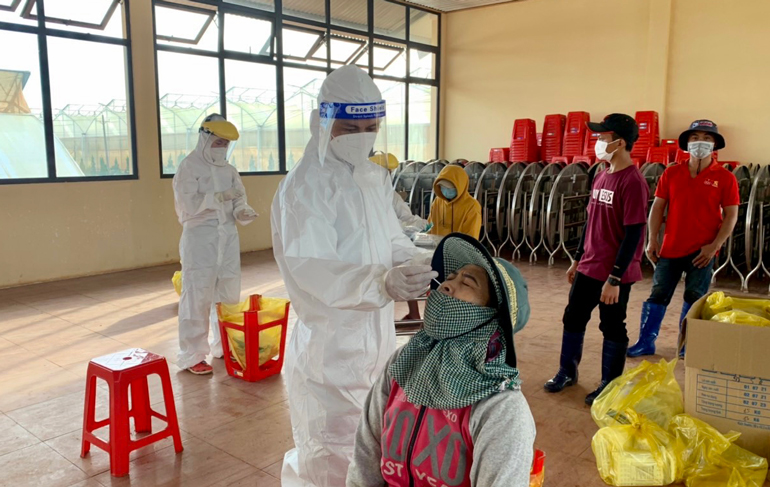 Sàng lọc SARS-CoV-2 cho công nhân tại Công ty Đà Lạt Hasfarm liên quan chùm ca bệnh tại nhà trọ Đức Uyên (xã Đạ Ròn, Đơn Dương)