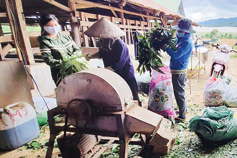 Phụ nữ Đơn Dương tâm huyết xây dựng huyện nông thôn mới kiểu mẫu