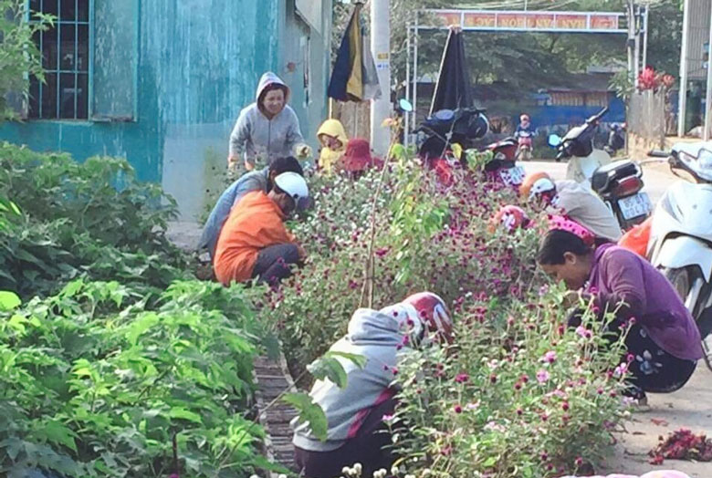 Chị em phụ nữ xã Lạc Lâm chung tay thực hiện tuyến đường xanh, sạch, đẹp trên địa bàn