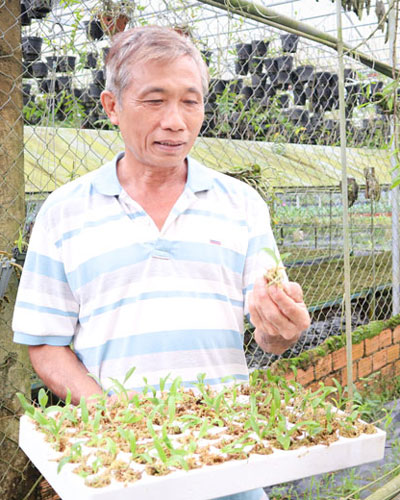 Anh Nguyễn Văn Tiến - chủ vườn lan Tiến Hoàng, giới thiệu các loại lan đang có tại vườn.