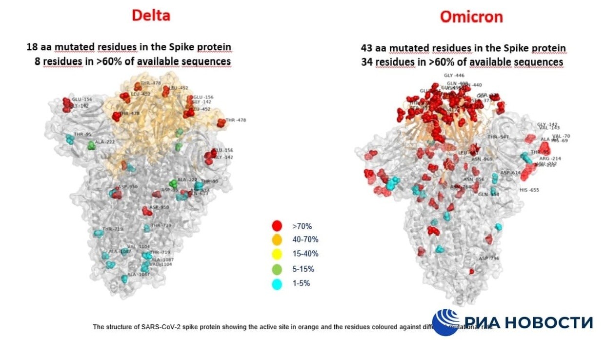 Hình ảnh so sánh biến thể Delta (bên trái) và Omicron của bệnh viện Bambino Gesu
