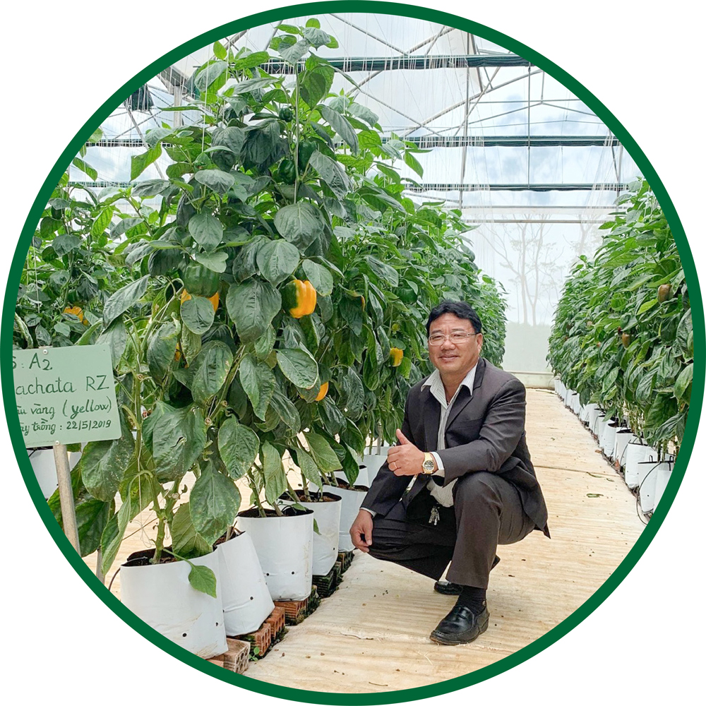 Ông Nguyễn Duy Đa trong nông trại sản xuất ớt ngọt ứng dụng công nghệ cao của Viên Sơn