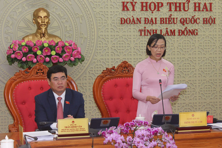 ĐBQH Lâm Đồng, Tiến sĩ Trịnh Thị Tú Anh góp ý tâm huyết, trí tuệ về Luật Sở hữu trí tuệ sửa đổi