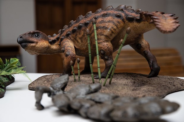Mô hình loài khủng long bọc giáp mới được các nhà nghiên cứu tại Đại học Chile phát hiện.