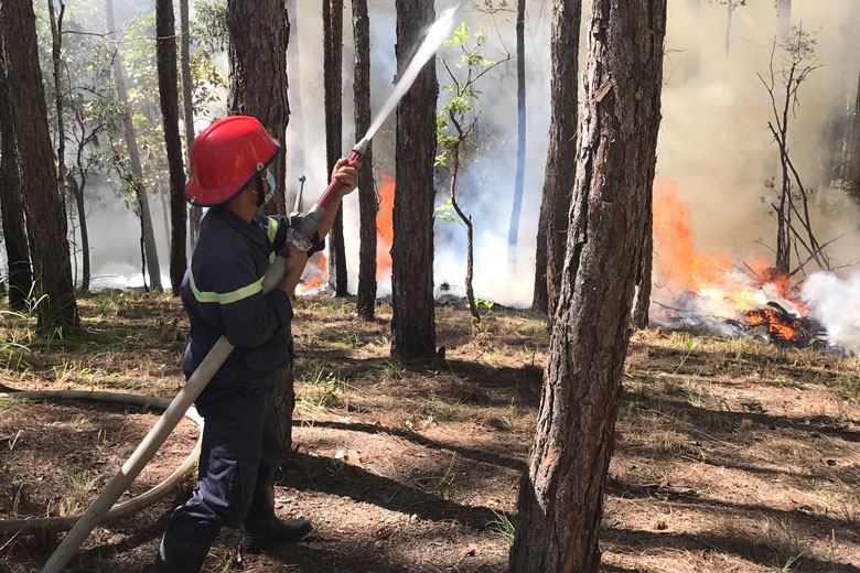 Đà Lạt: Diễn tập phòng cháy chữa cháy rừng mùa khô