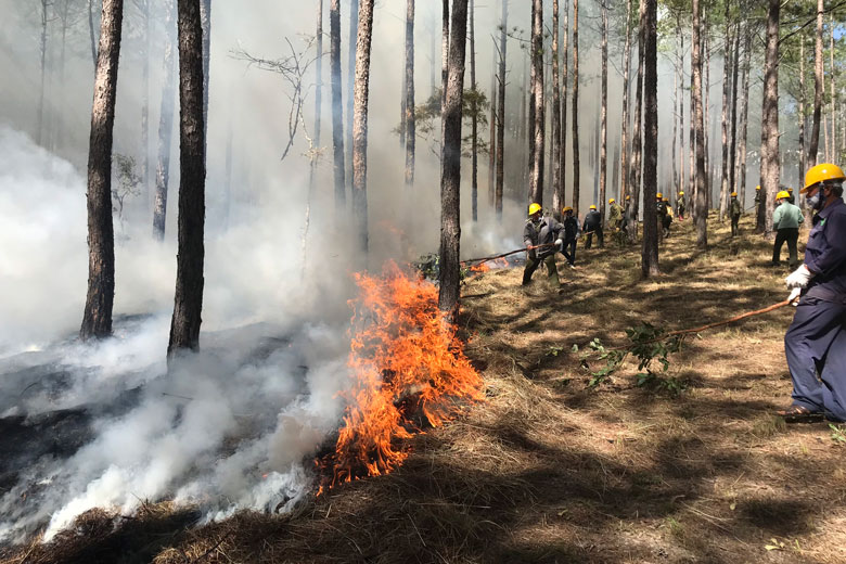 Các lực lượng tham gia diễn tập phòng cháy chữa cháy rừng