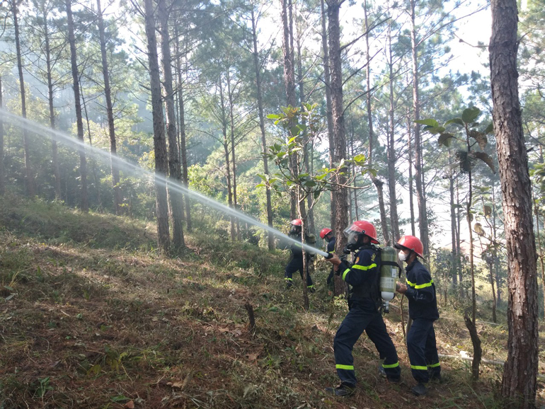 Các lực lượng tham gia buổi diễn tập phòng cháy chữa cháy rừng